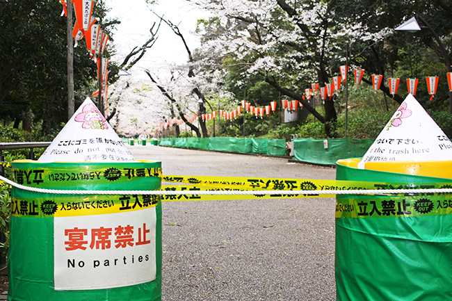 東京都の外出自粛要請もあり、人影が消えた花見の名所・上野恩賜公園(3月28日午前)