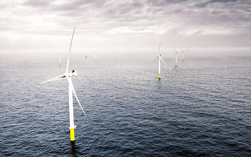 東京海上日動が保険を引き受けた国内事業者がオランダに建設した洋上風力ファーム