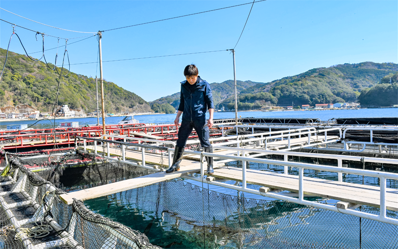 21年4月16日号11面 特集 ニュースを追う 地域金融機関 養殖業の成長後押し 現場直視の紙面づくりを目指す金融情報機関 ニッキン Web Site 日本金融通信社 21年4月16日号11面 特集 ニュースを追う 地域金融機関 養殖業の成長後押し 現場直視の紙面づくりを目指す金融情報機関 ニッキン Web Site 日本金融通信社