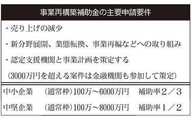 事業再構築補助金の主要申請要件