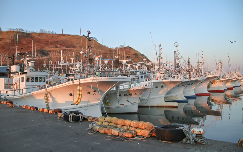 赤潮被害を受けた北海道釧路地区の白糠（しらぬか）漁港に並ぶ漁船（３月10日、北海道白糠町）