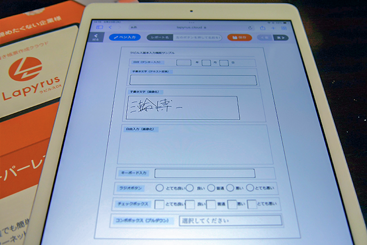 ラピルスDXは読み込んだ書類をデジタルに置き換え、入力フォームやチェックボックスを埋め込むことができる（8月23日）