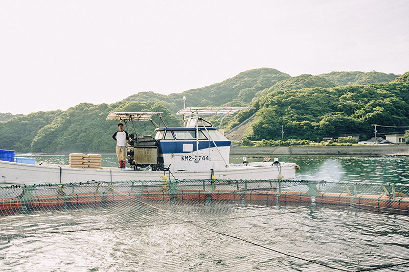 農林中金の取引先である海神貿易が熊本県天草市に所有する養殖場（同社提供）