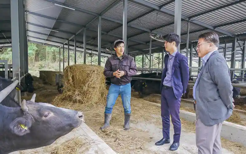 完成した牛舎で砂川拓也氏（左）からオリーブ牛の肥育について説明を受ける担当者（中央）と河渕崇支店長（11月15日、香川県東かがわ市）