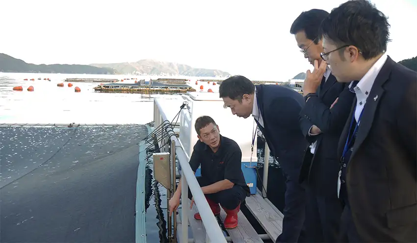 大西水産の大西社長(左)から、いけすの状況についてヒアリングする(右から)宇和島信金の田部隆一支店長代理、徳田支店長、和泉課長(24年12月2日、大西水産)