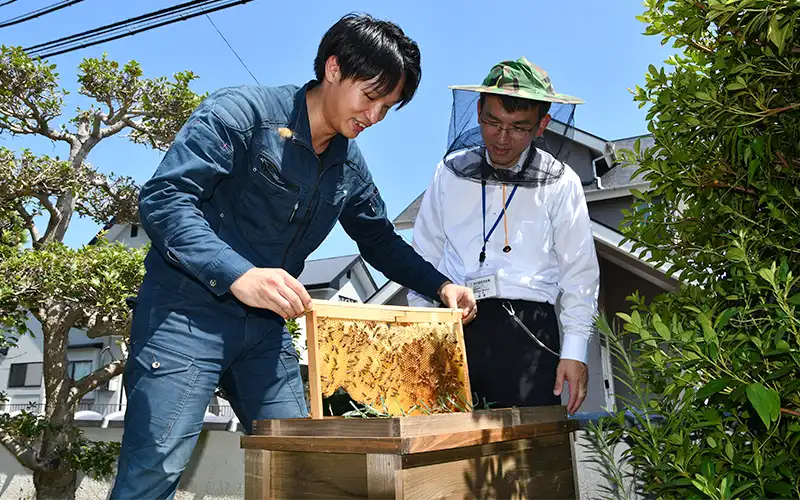 西岡養蜂場の西岡雄紀代表からミツバチの巣箱をみせてもらう西中国信金の渡邉太郎代理(8月1日、下関市内)