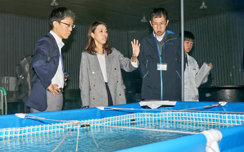 県関係者の視察に対応する平良香織社長（左から２人目、10月31日、能登アクアファーム）