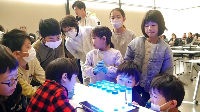 すりつぶした海藻に紫外線を当てて変化を観察する子どもたち(2025年12月13日、観音寺市)