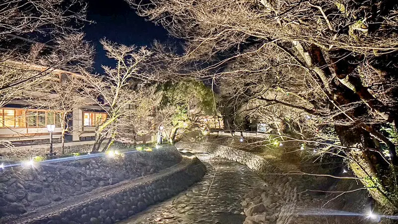 三島信金の支援で照明が増設された修善寺温泉の桂川周辺（３月11日、三島信金提供）