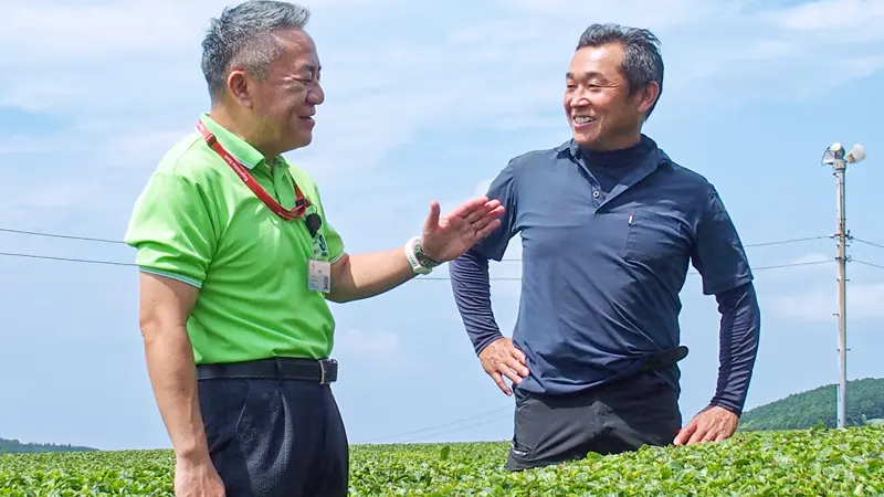 下窪勲製茶の下窪健一郎社長(右)から茶の葉について説明を受ける山之口暢支店長(8月4日、下窪勲製茶所有の茶畑)