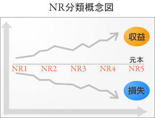 NR分類概念図